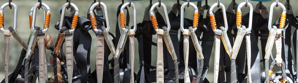 Harnesses