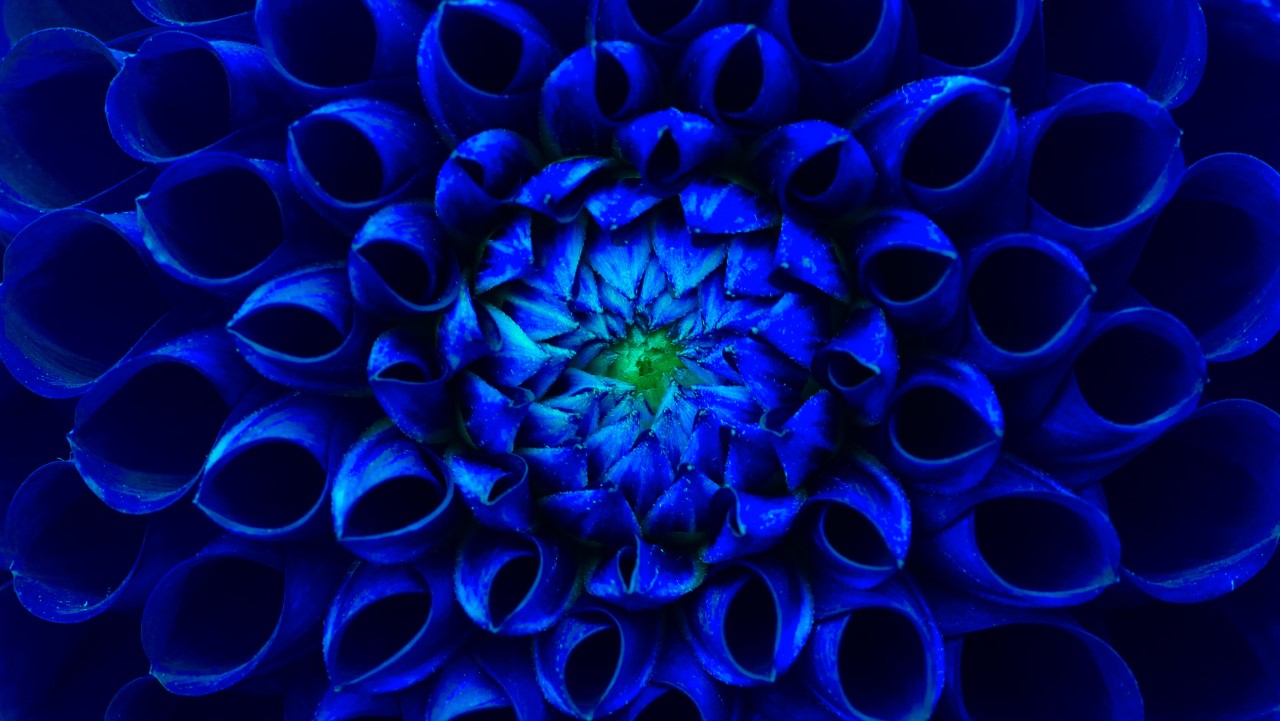 Risk Through A New Lens Report